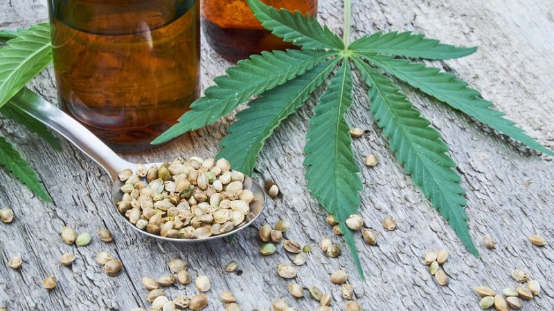 5 Essential Ingredients to Look for in Your CBD Oil