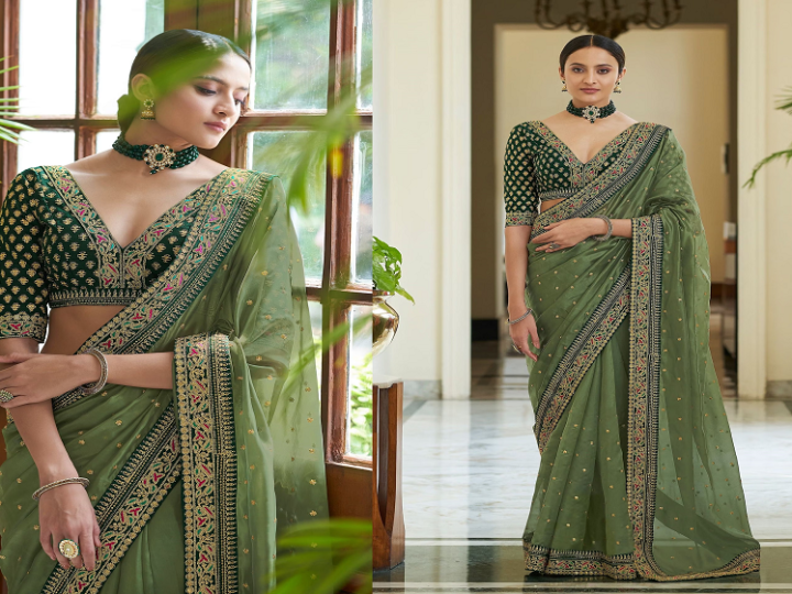 8 Incredible reasons for purchasing the Fancy organza sarees