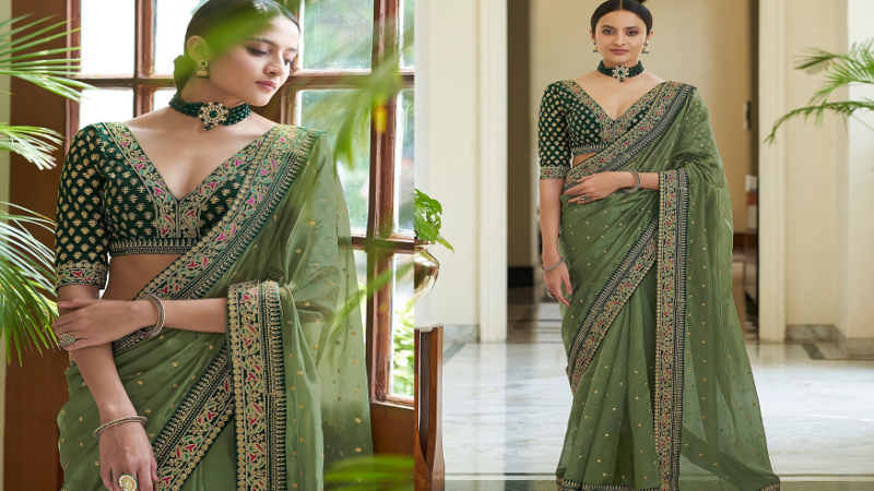 8 Incredible reasons for purchasing the Fancy organza sarees